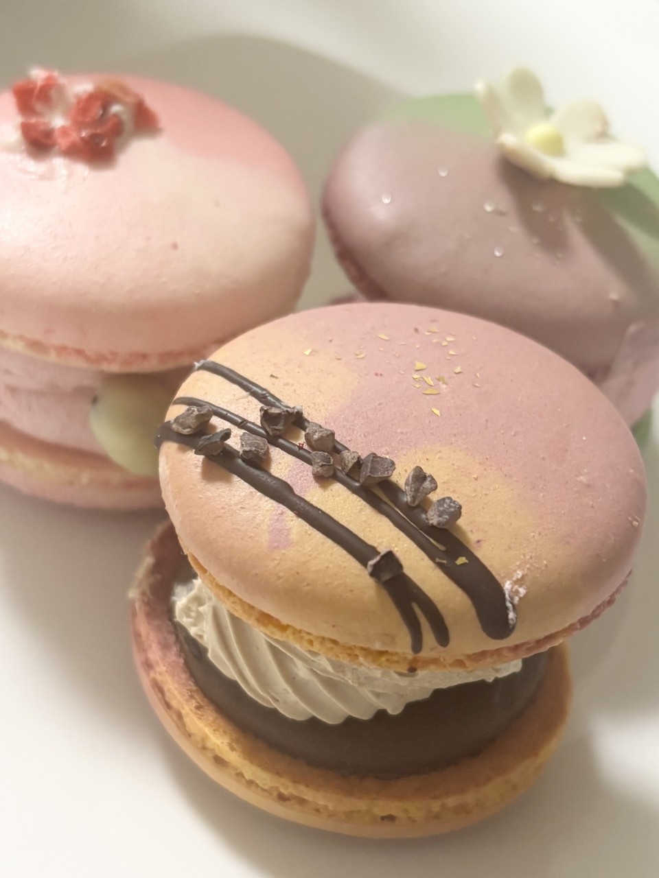 アップロード画像