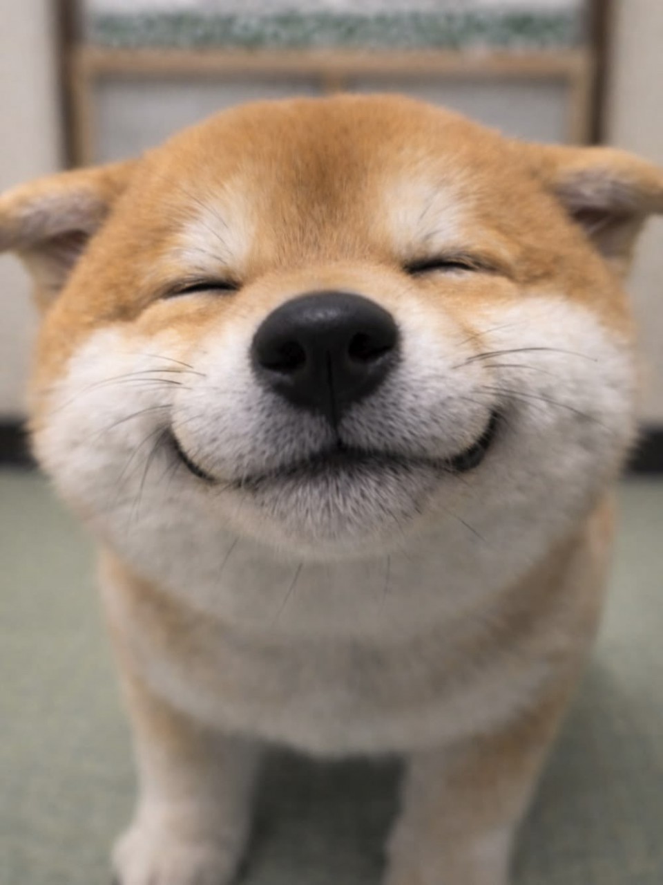 写メ