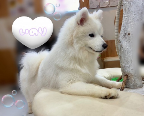 写メ