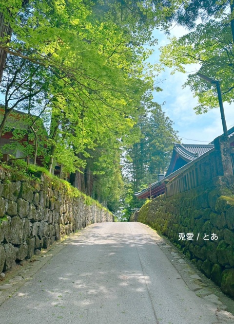 写メ