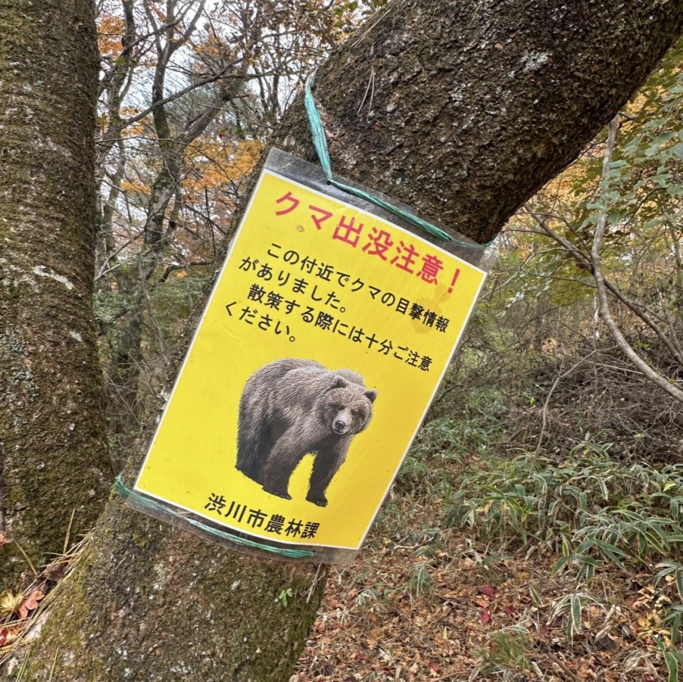 アップロード画像