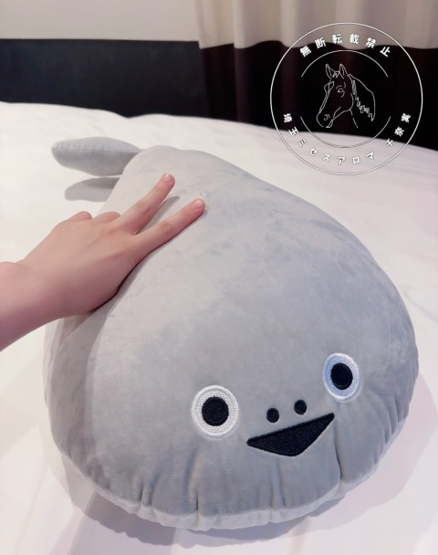 写メ