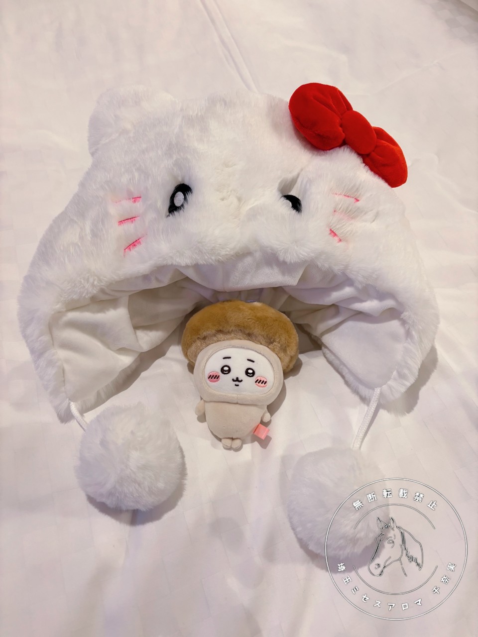 アップロード画像