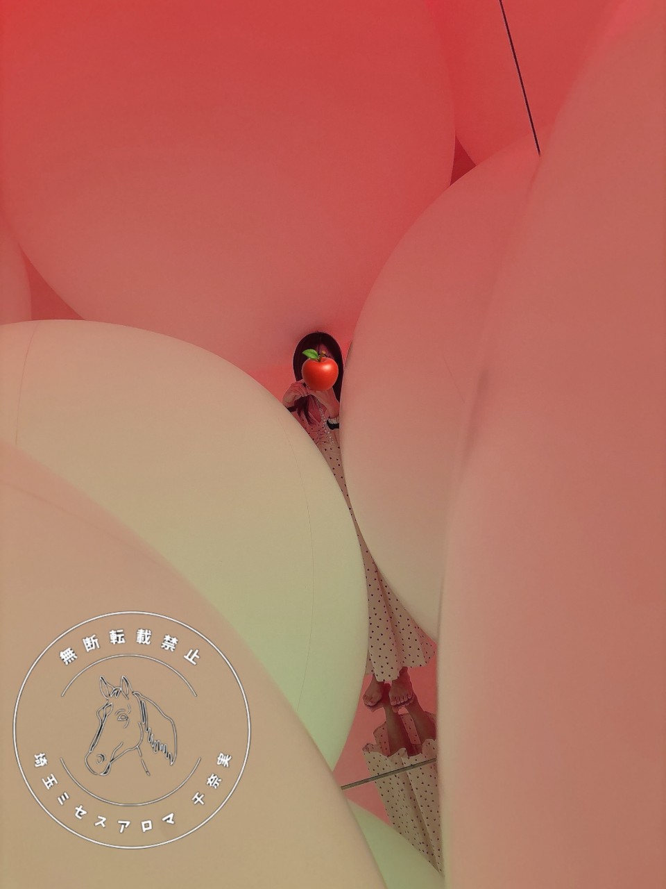 アップロード画像