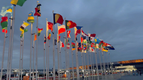 アップロード画像